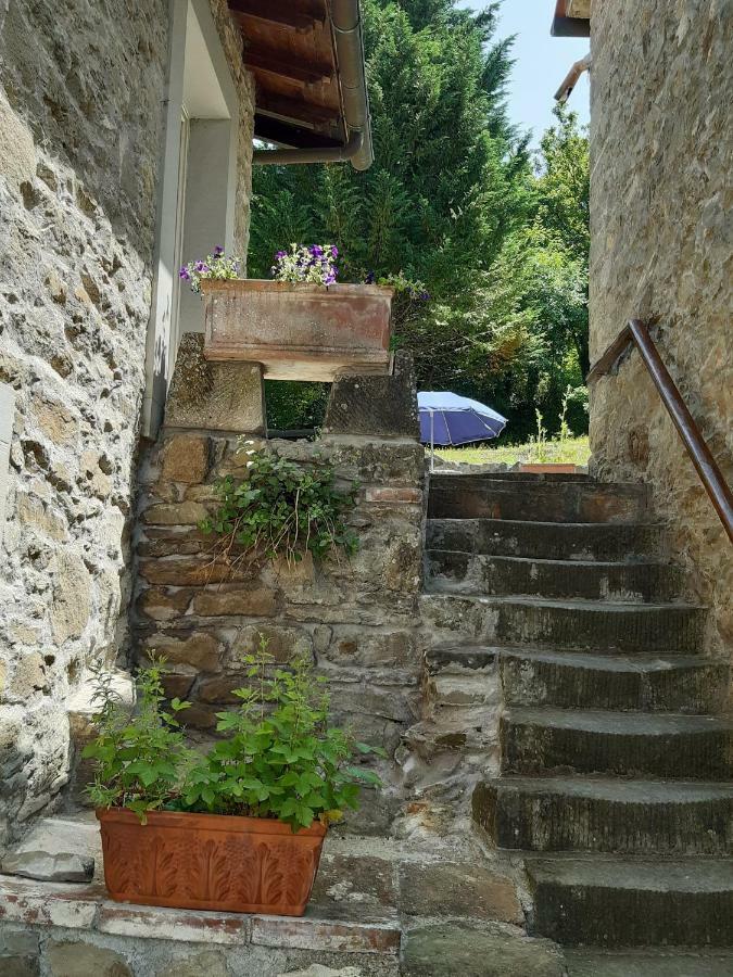 Country Turicchi Apartment Londa