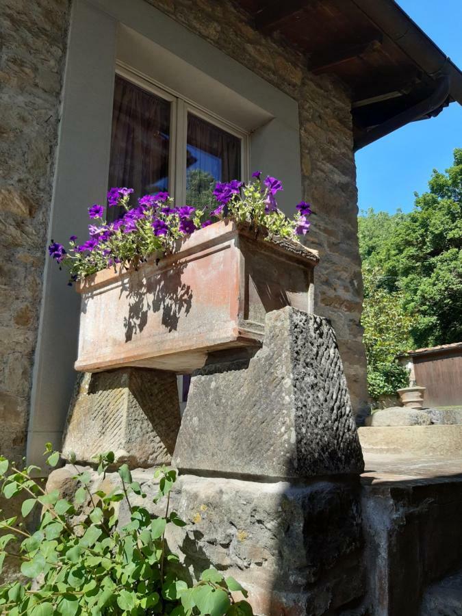 Apartment Country Turicchi *