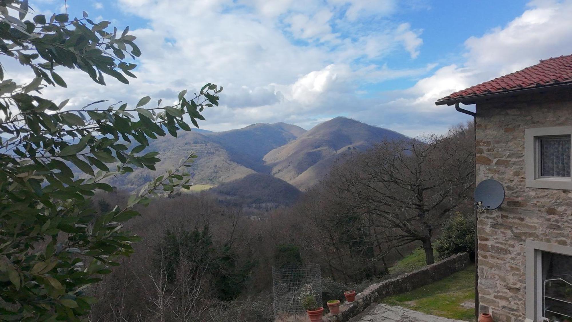 Country Turicchi *