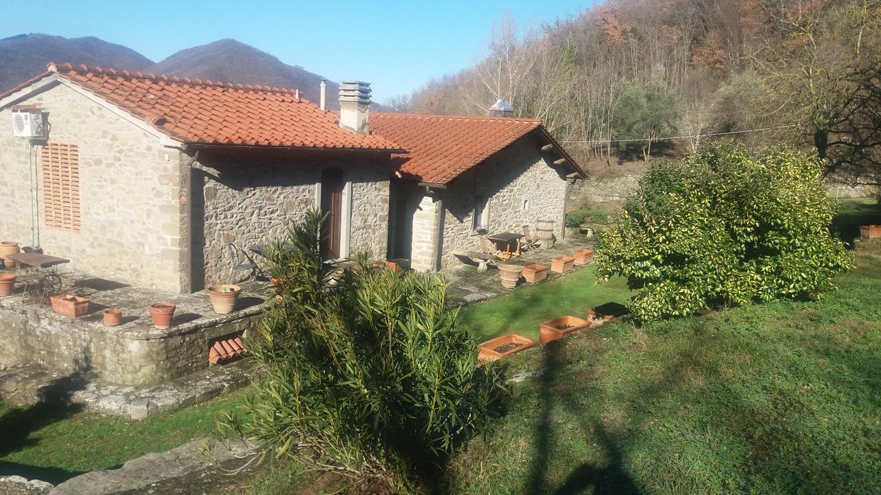 Country Turicchi * Londa
