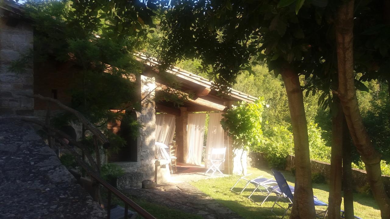 Country Turicchi Londa