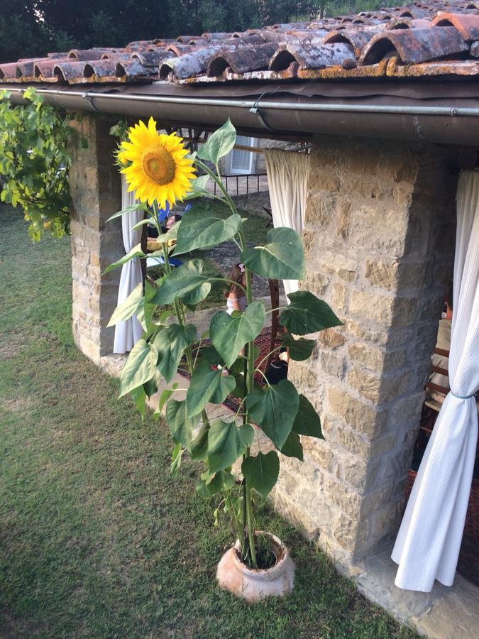 Apartment Country Turicchi Londa
