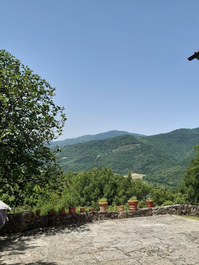 Country Turicchi Apartment Londa
