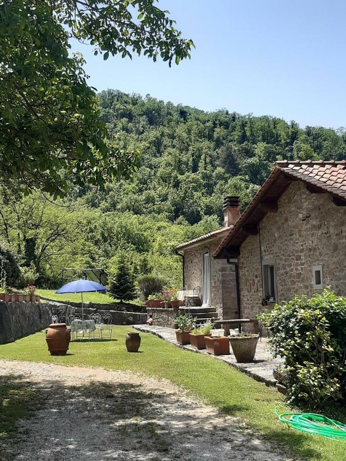 Country Turicchi Londa