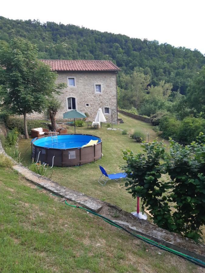 Country Turicchi