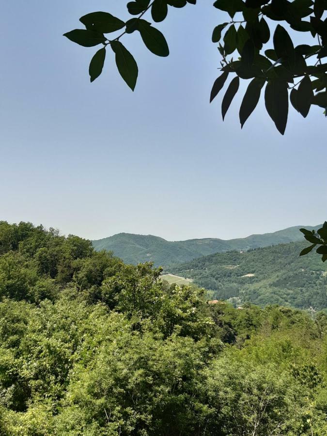 Apartment Country Turicchi *