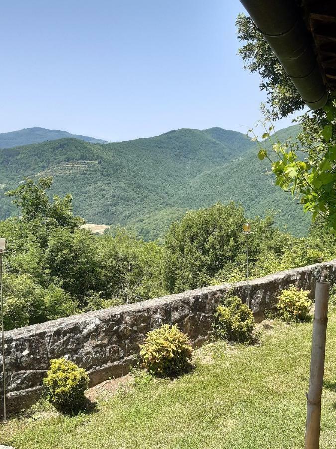 Country Turicchi *